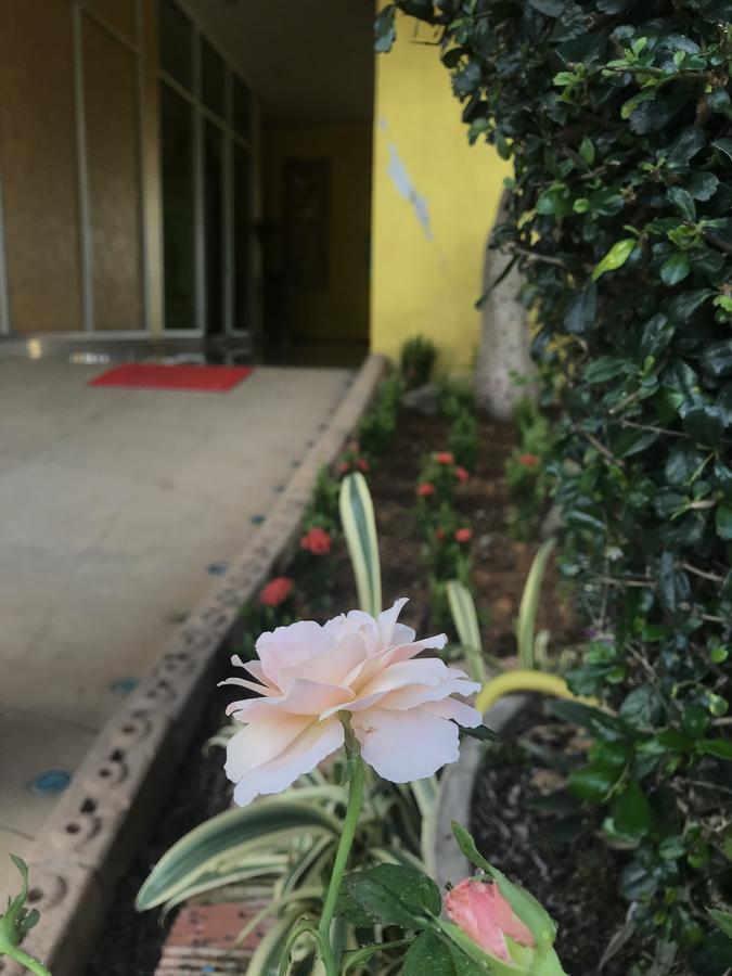 The M Bokeo Hotel Huay Xai Екстериор снимка